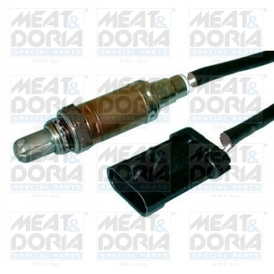 Oxygen Sensor